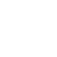 demo-web-agency-white